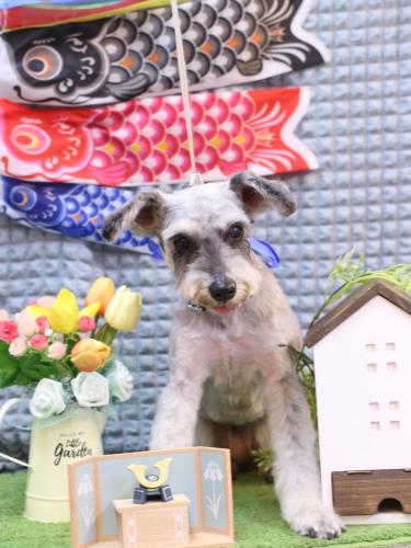 20230523CHACHAちゃん